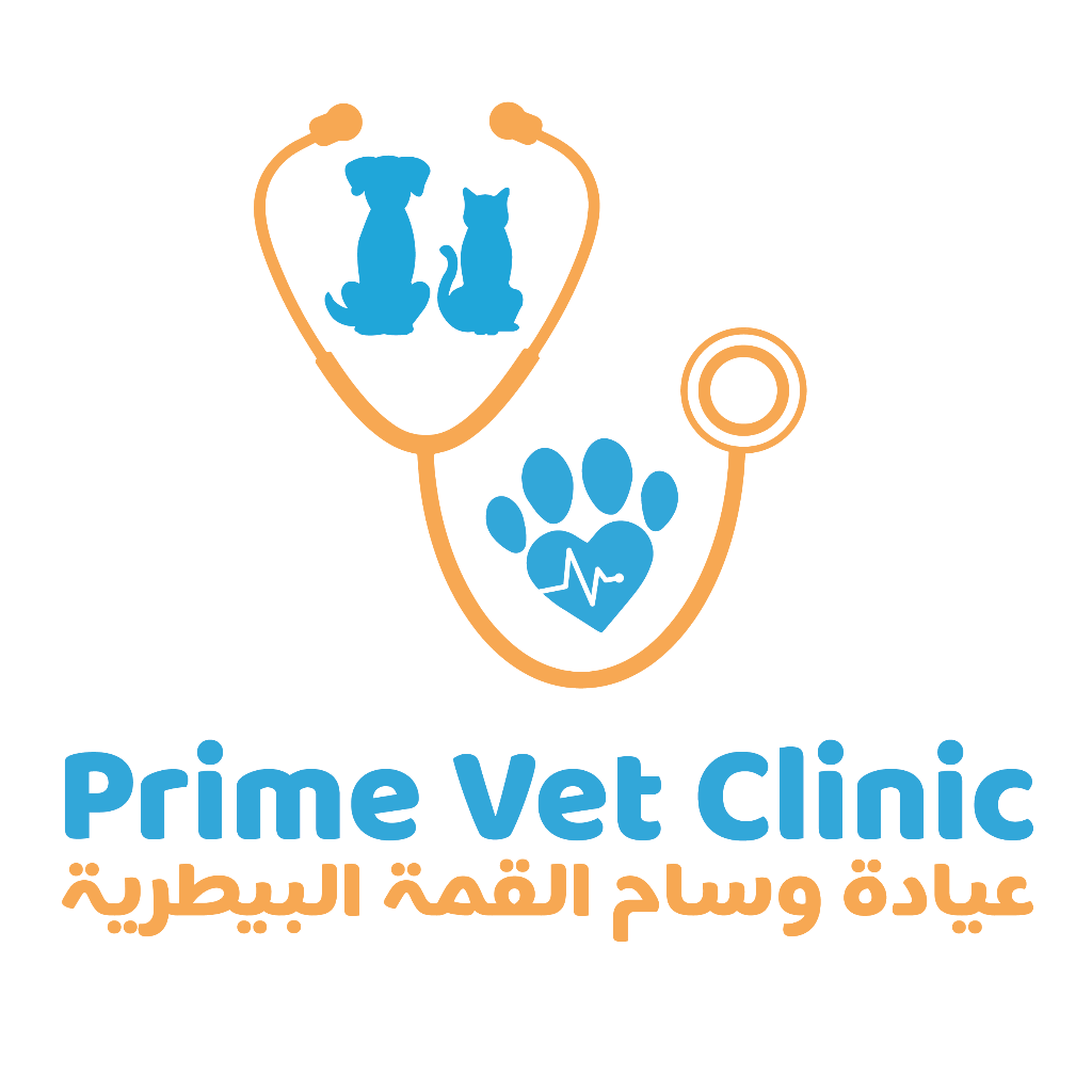 Loyalty Program (برنامج الولاء) Logo