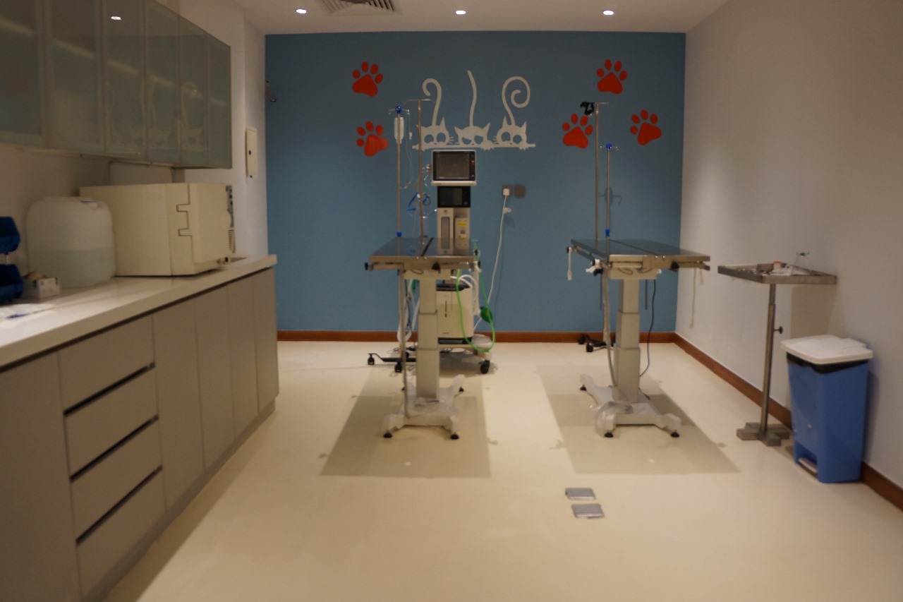gallery-primevetclinic