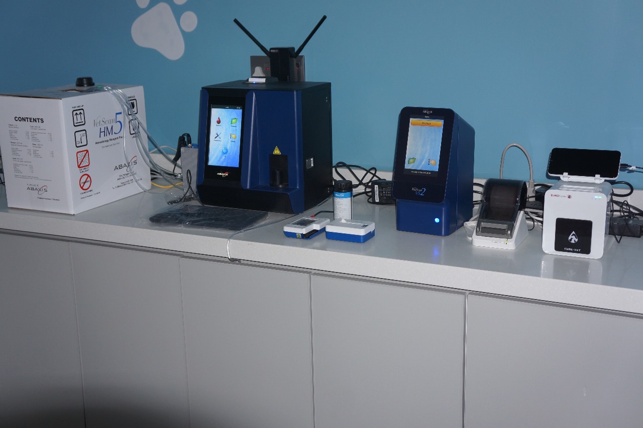 gallery-primevetclinic