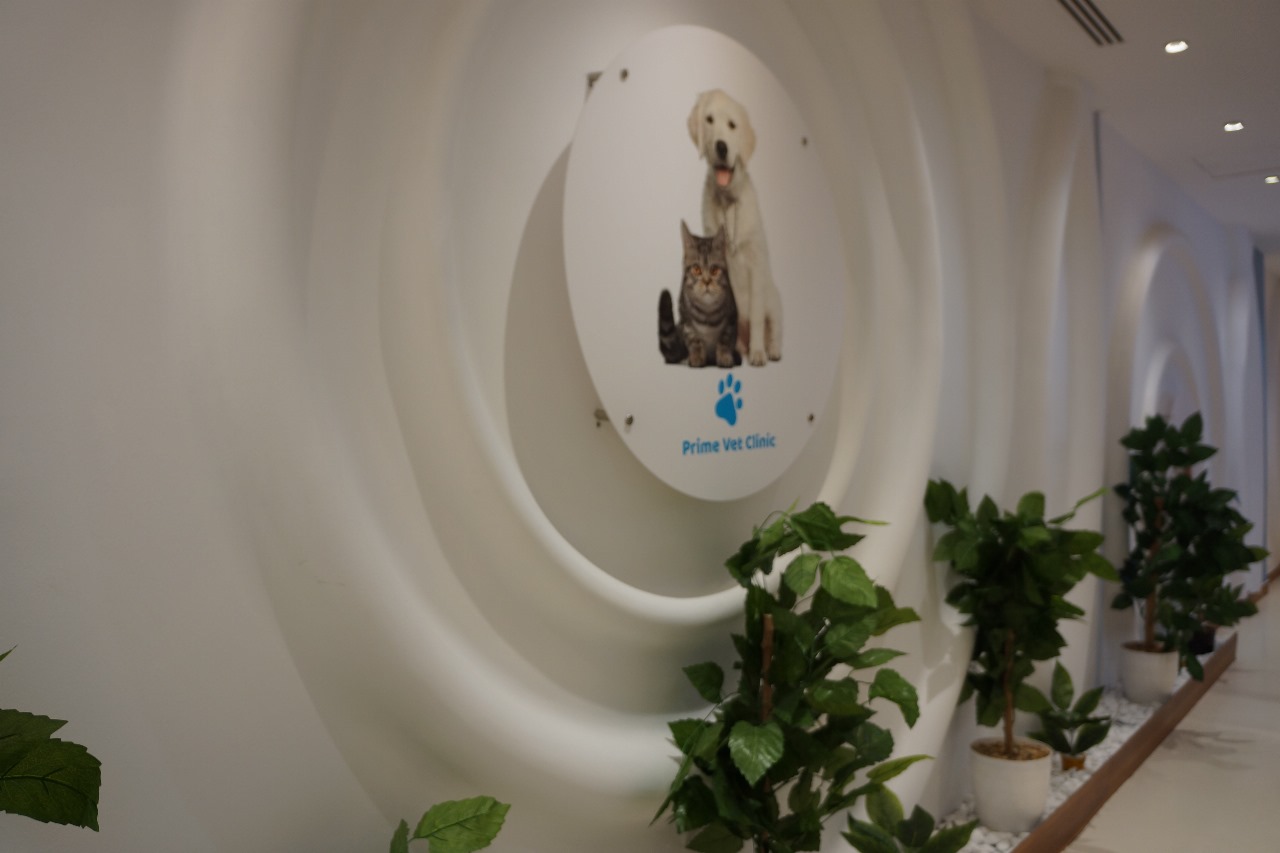 gallery-primevetclinic